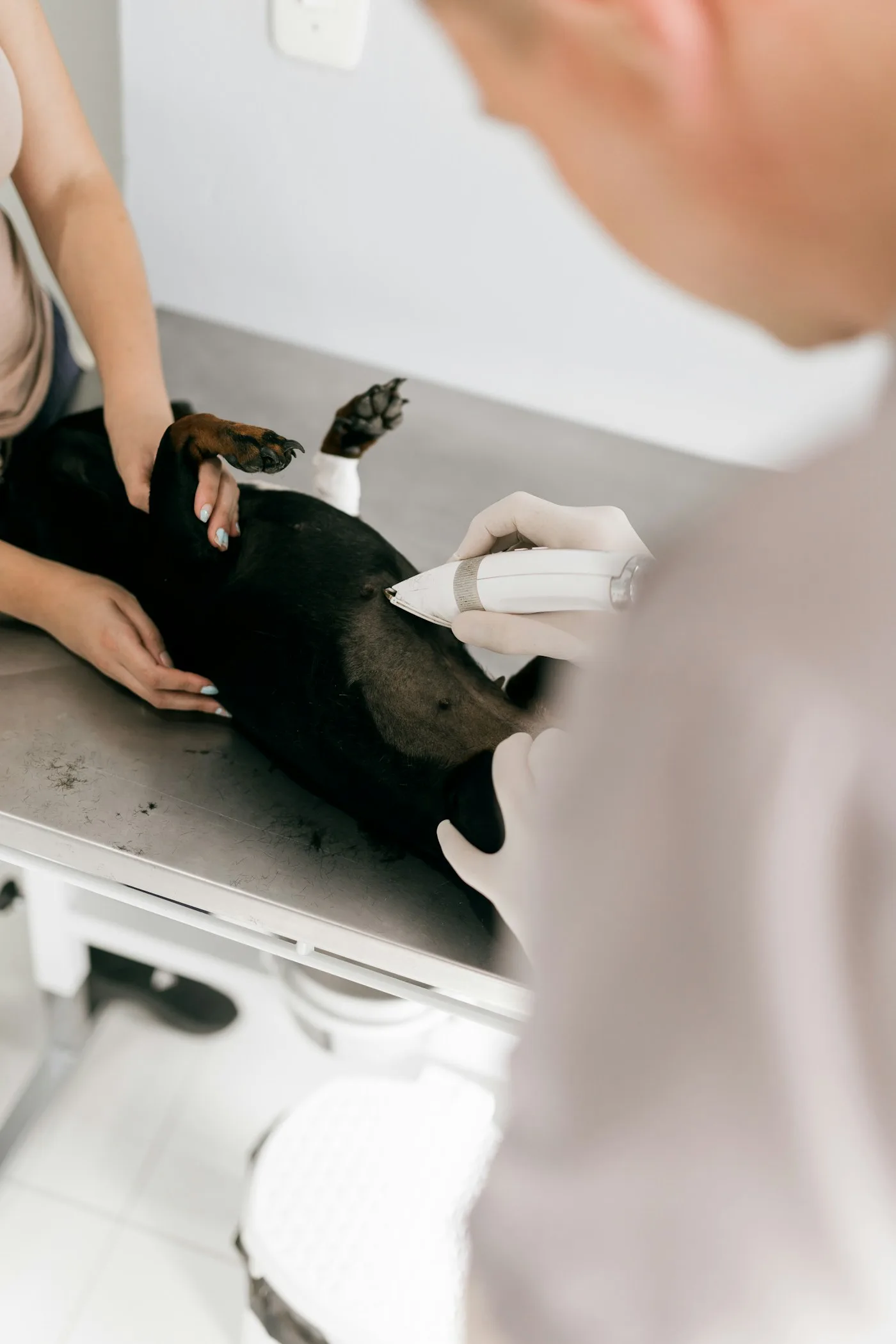 The Most Trusted Emergency Veterinary Hospital in Lancaster - Emergency Care | Emergency Veterinary Hospital